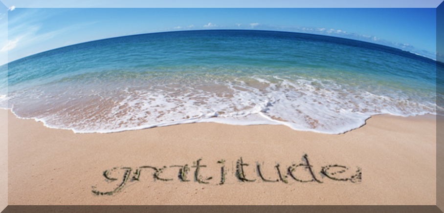 Image result for thank you wave