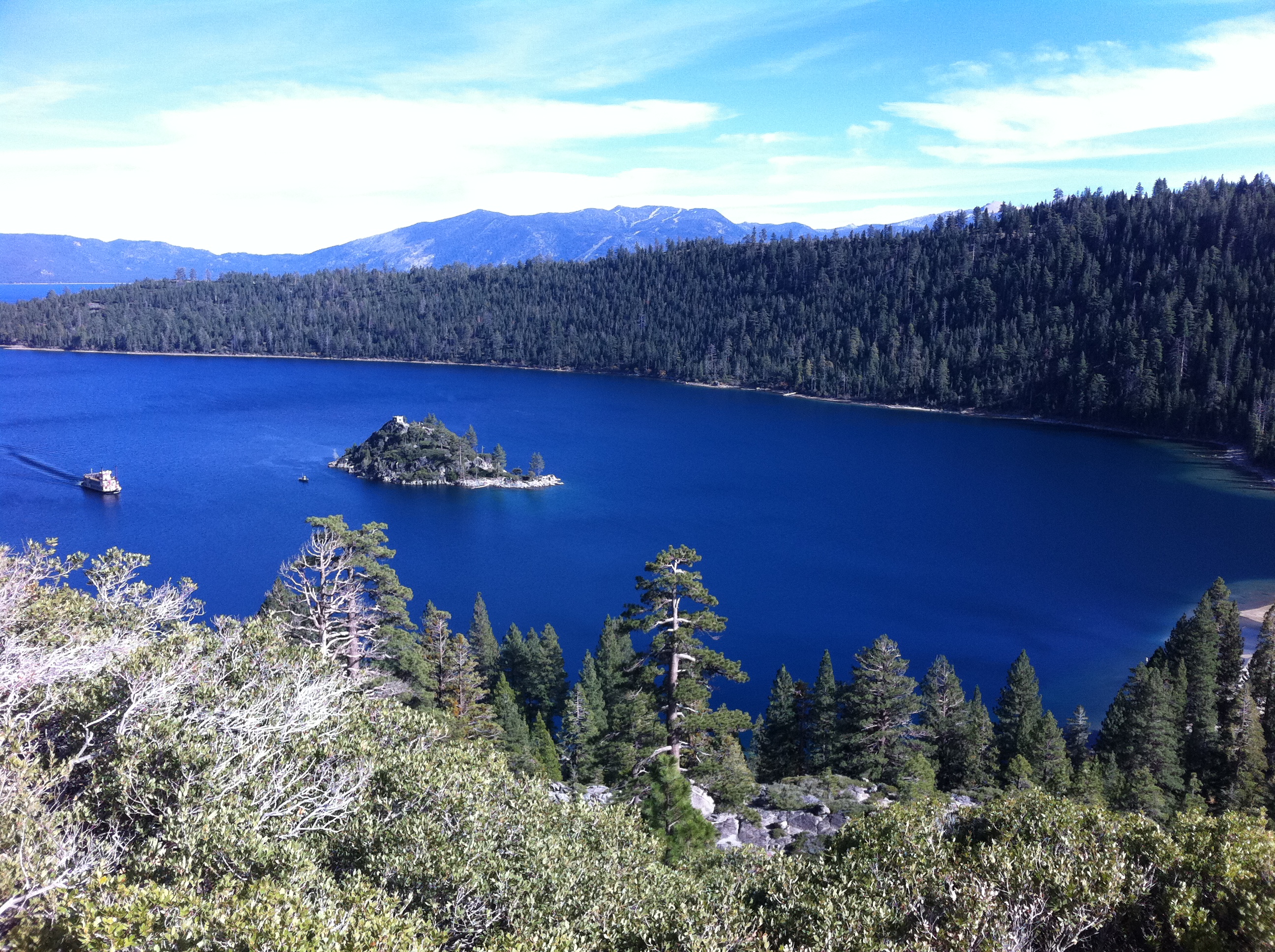 Listings Search Homesmart Evergreen Realty