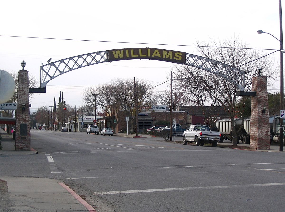Williams History