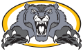 Biggs High School