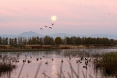 Colusa County History