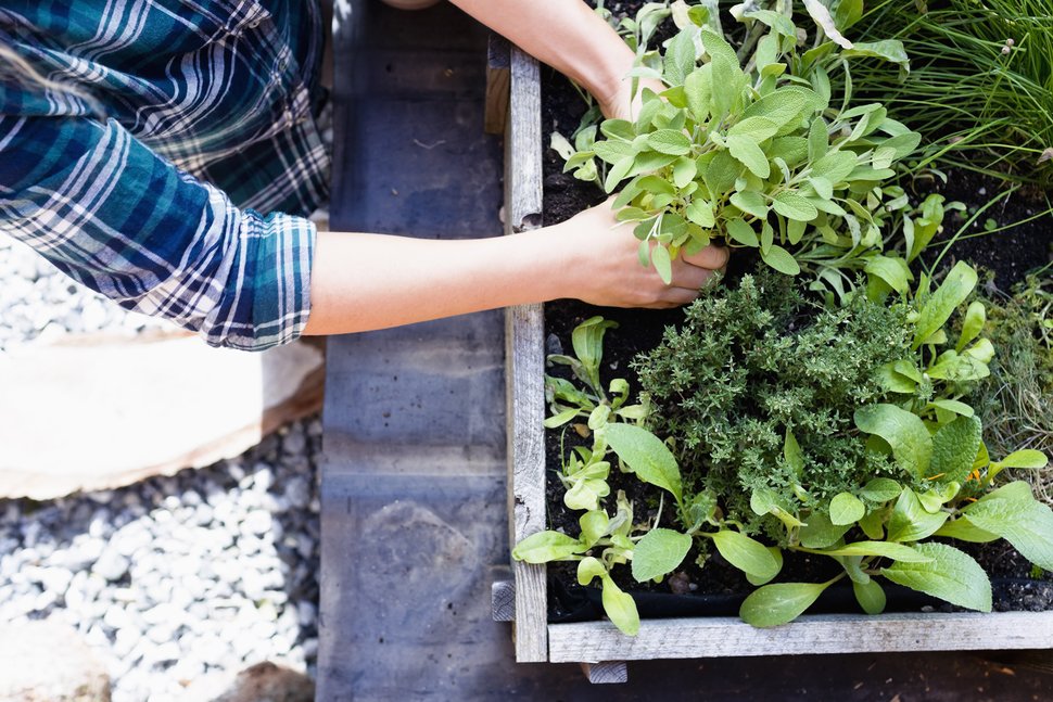 5 Diy Backyard Renovations On A Budget On Navarre Beach Real Estate