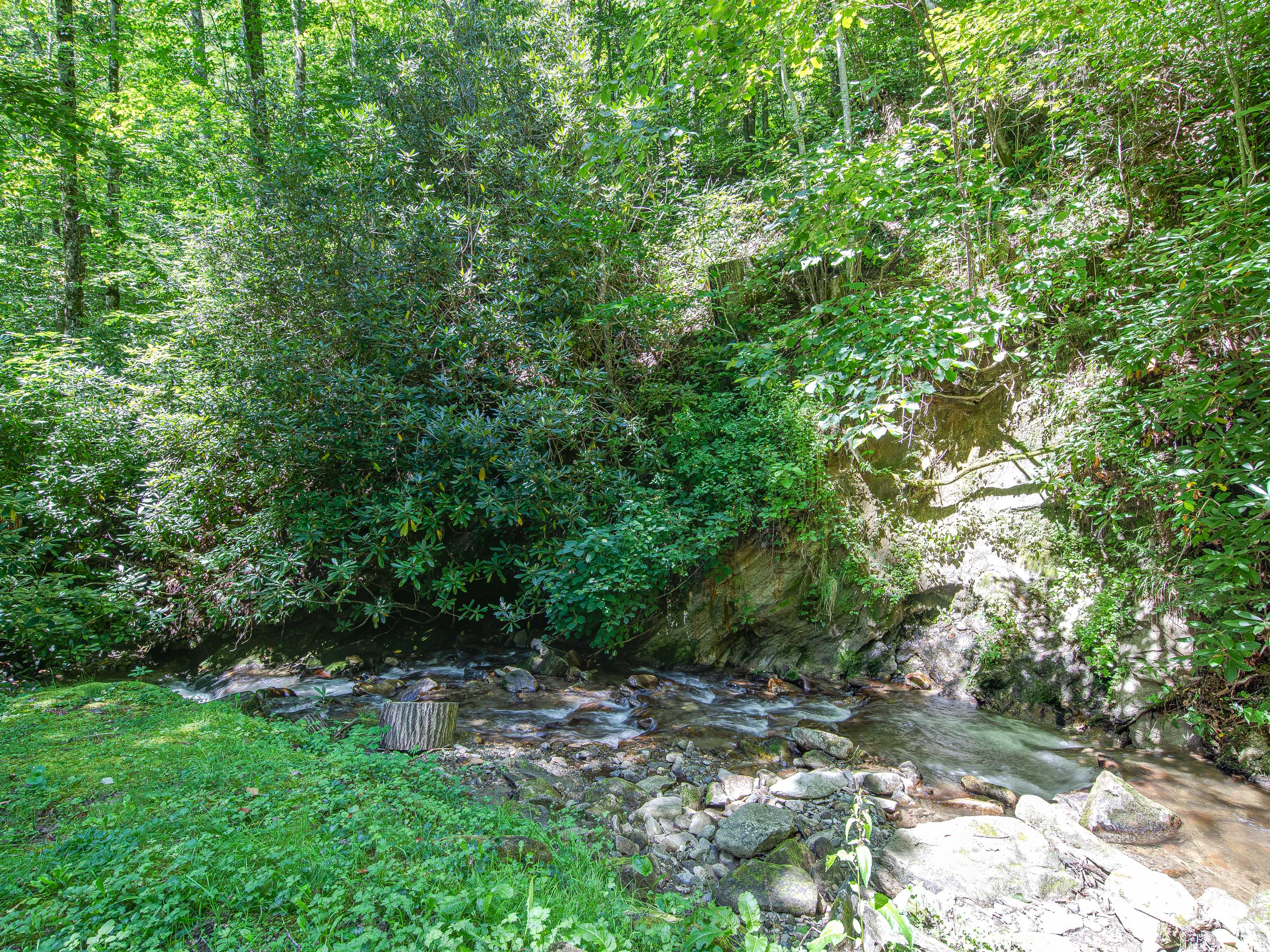 Maggie Valley Creek