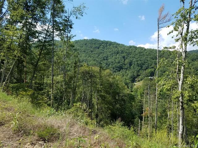 ~32 acres less than 5 minutes from Western Carolina University with awesome long range (200 degree) views from the picturesque knoll.