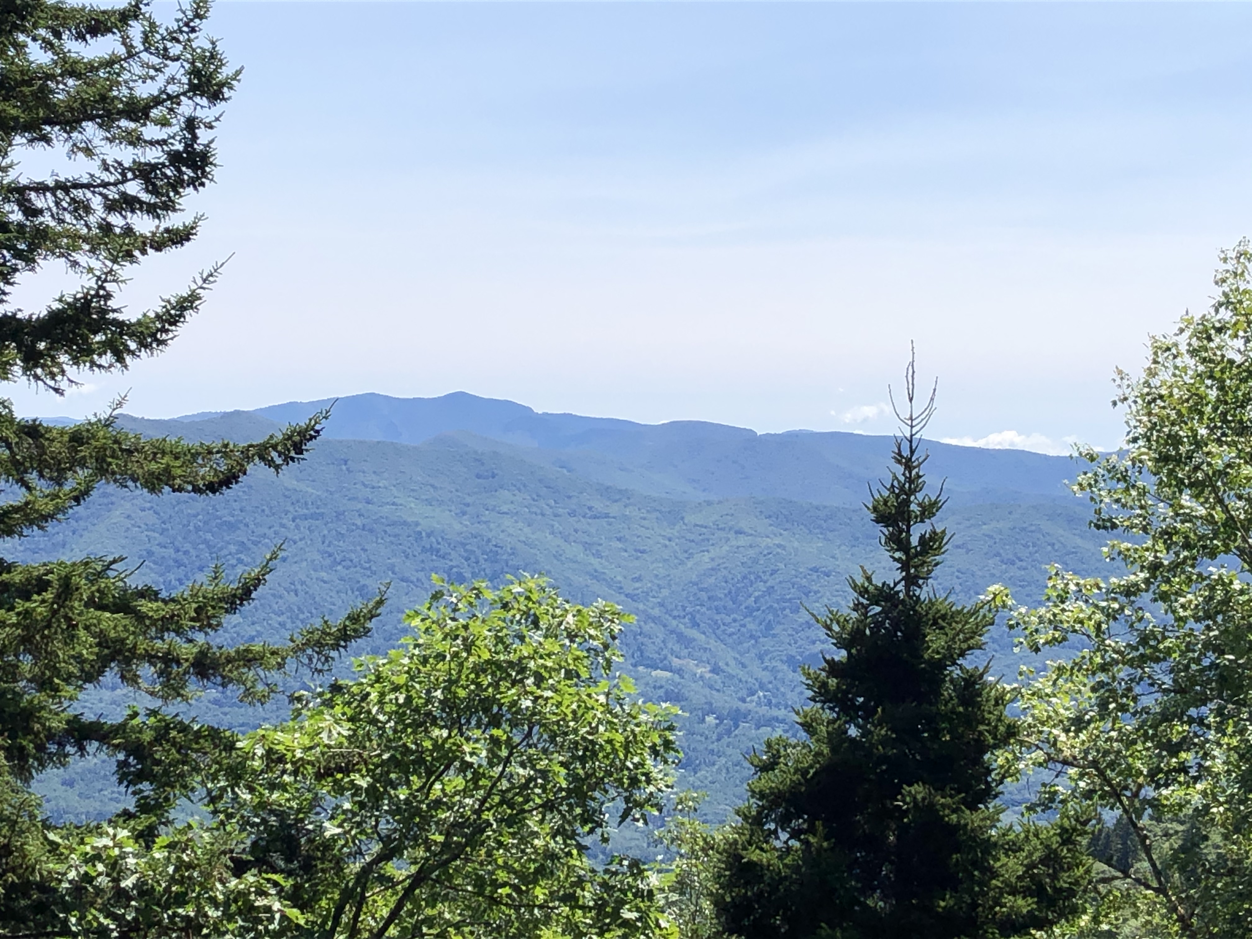 Come see one of the highest private lots available in the Blue Ridge with a peak elevation of 5,550ft! 