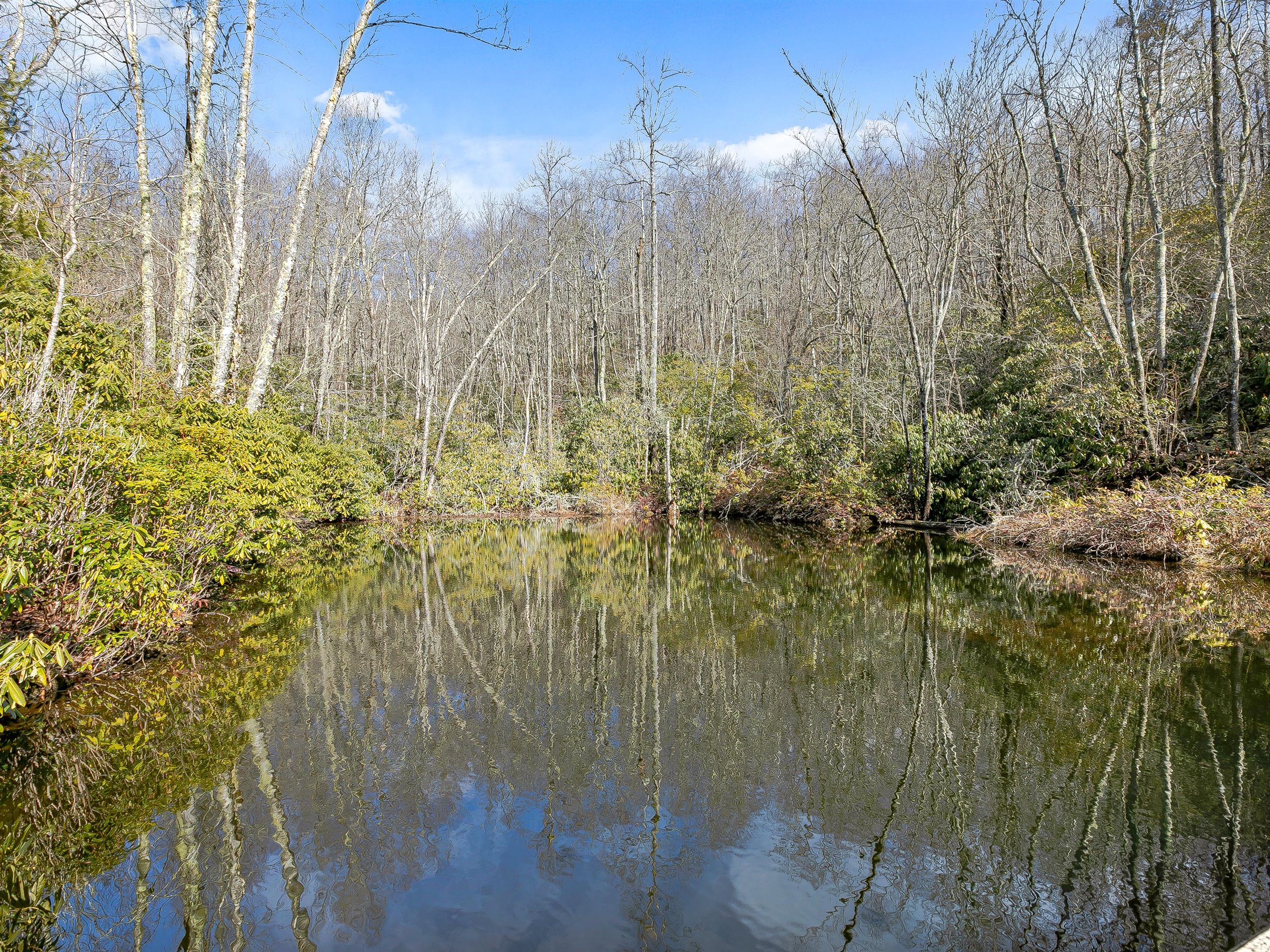 north carolina land for sale with pond