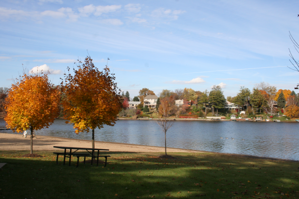 About Lake in the Hills