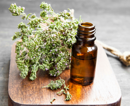 DIY Natural Pesticides