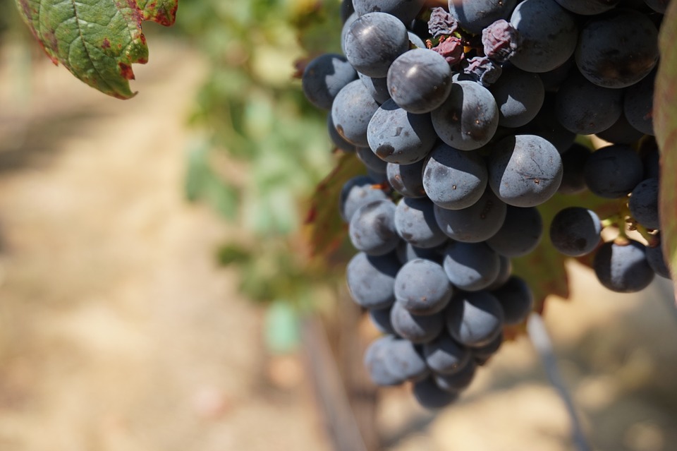 Wineries!