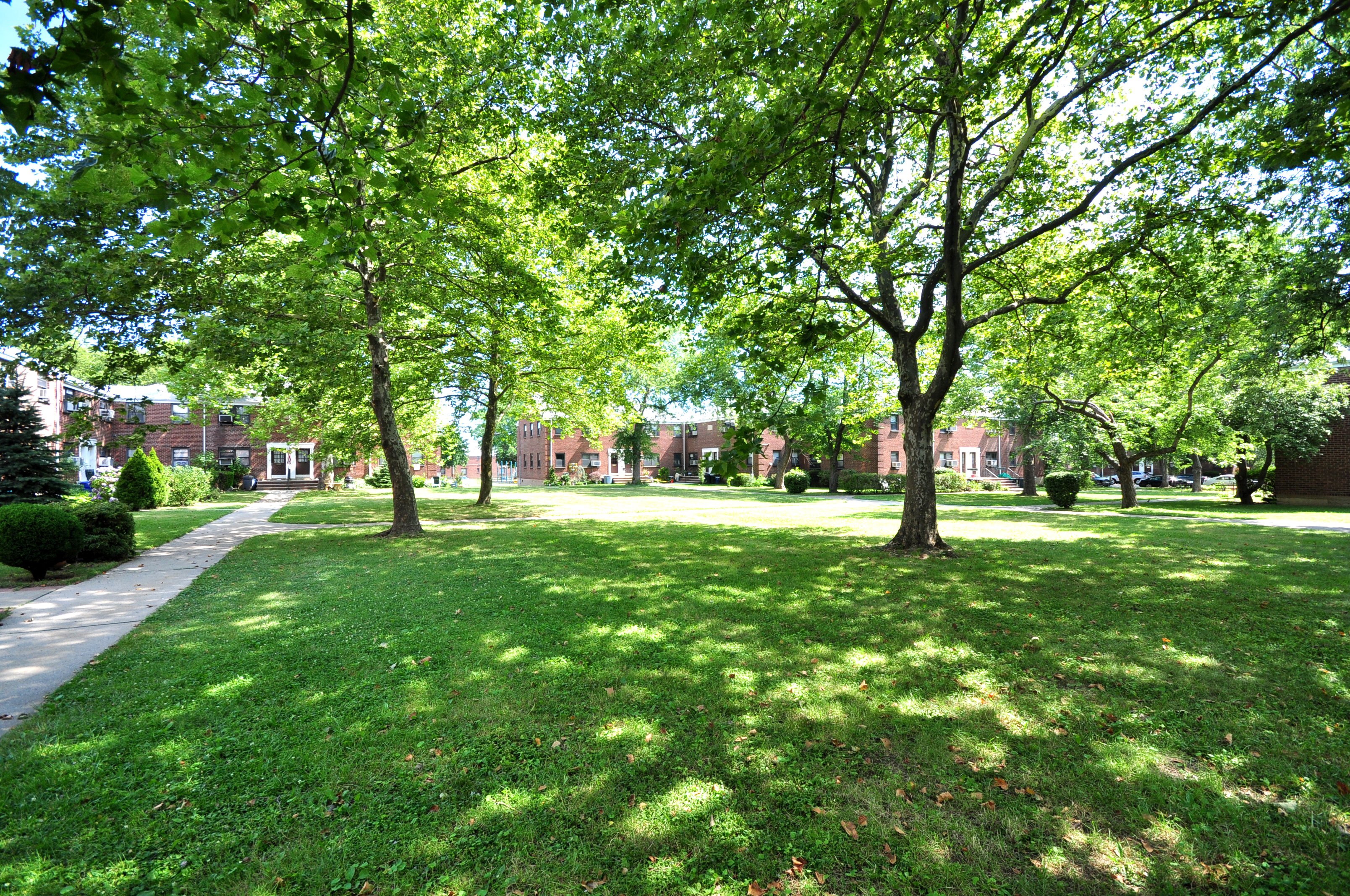 Clearview Gardens Coop Maintenance Fees Fasci Garden