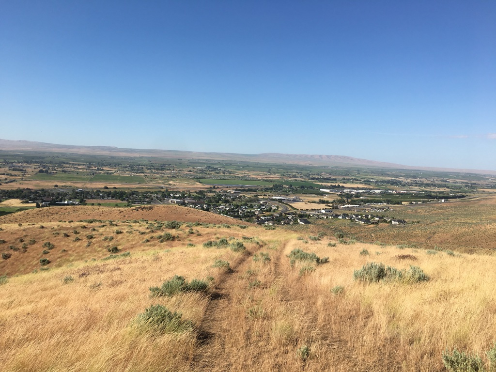 65 ACRES for prime Residential Lots in Prosser WA