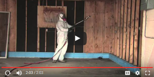 What To Do If There Is Mold Found In Your Home
