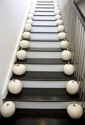 PUMPKINS for FALL