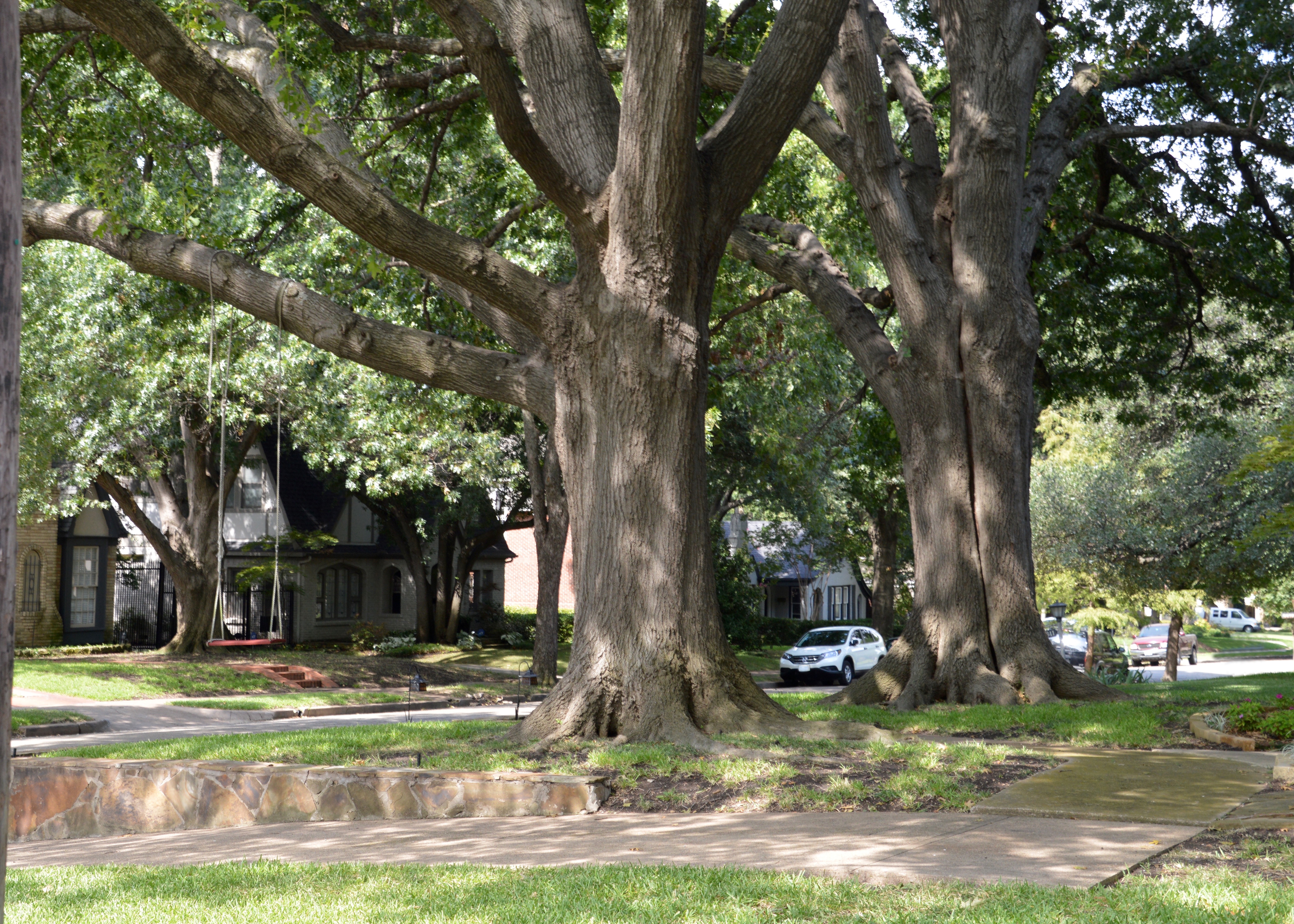 The Neighborhood