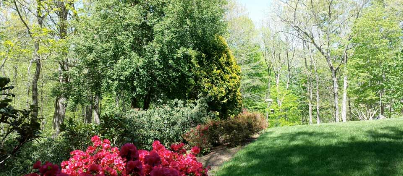 Cannon Bluff Woodbridge, VA