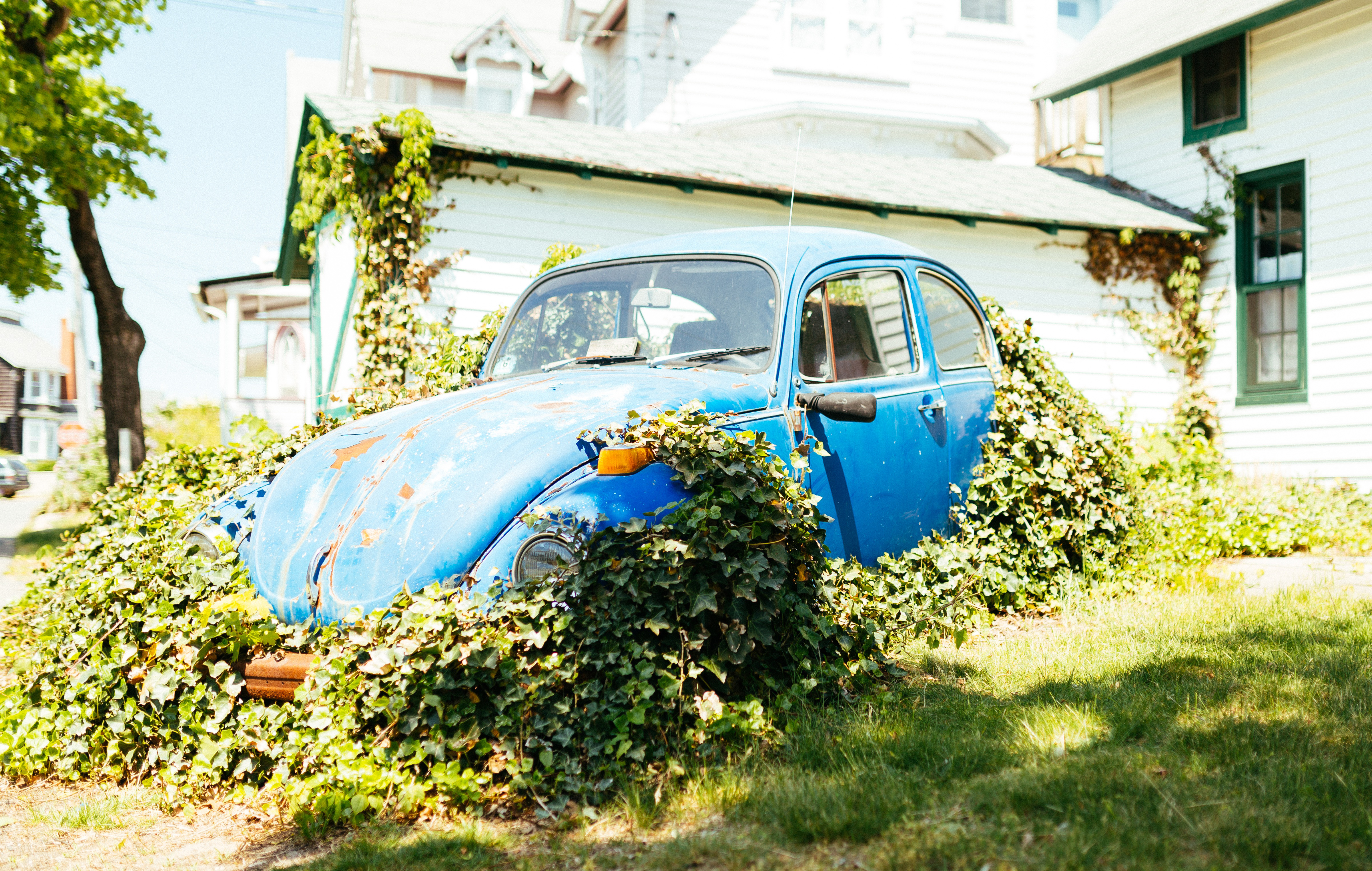 Maximize Your Home's Appeal