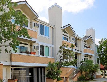 Palms Buyer