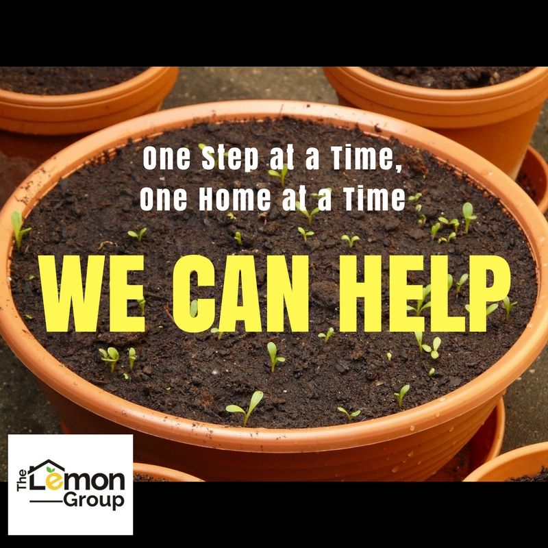 Getting your Yard Ready for Summer