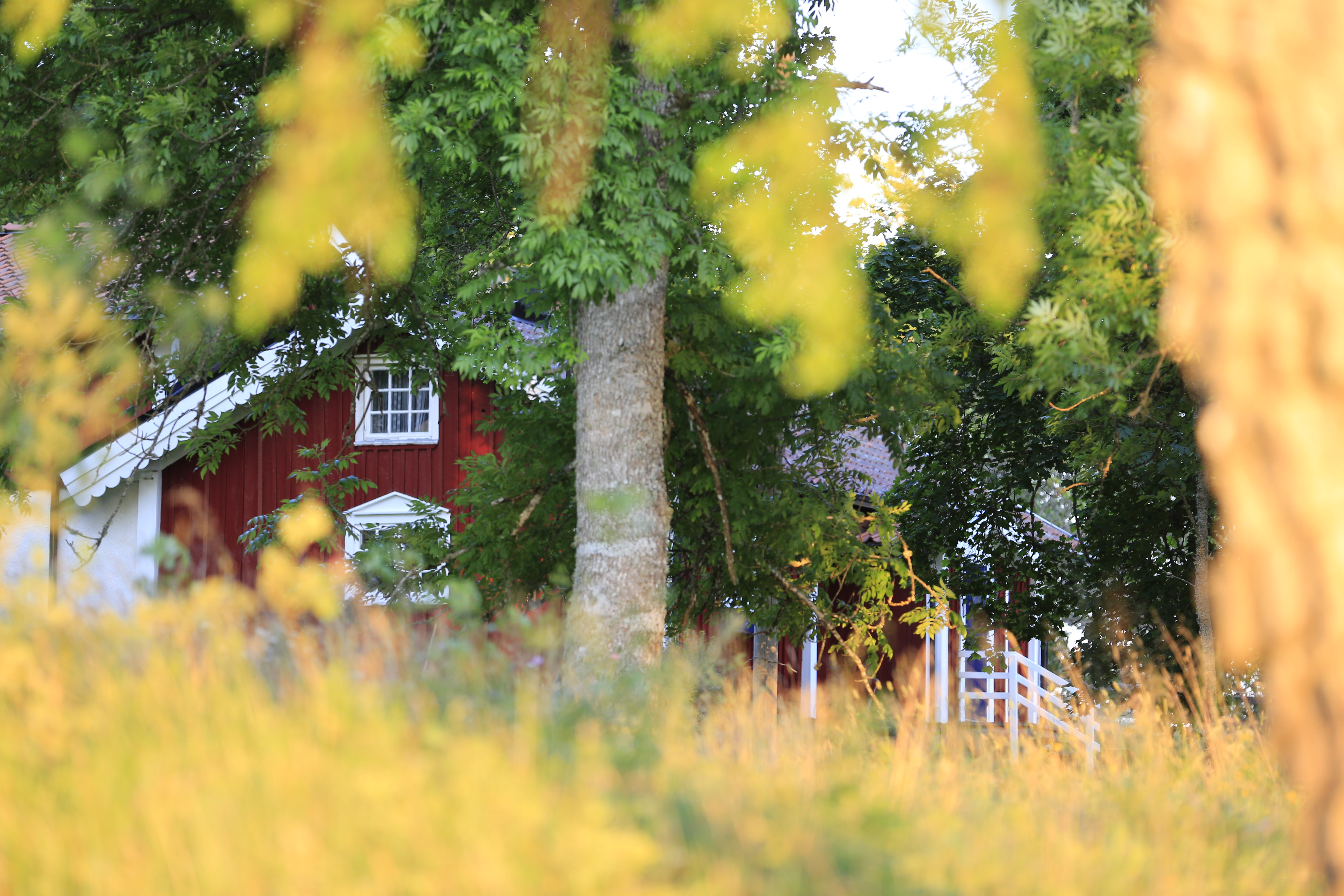 How To Buy A HUD Home