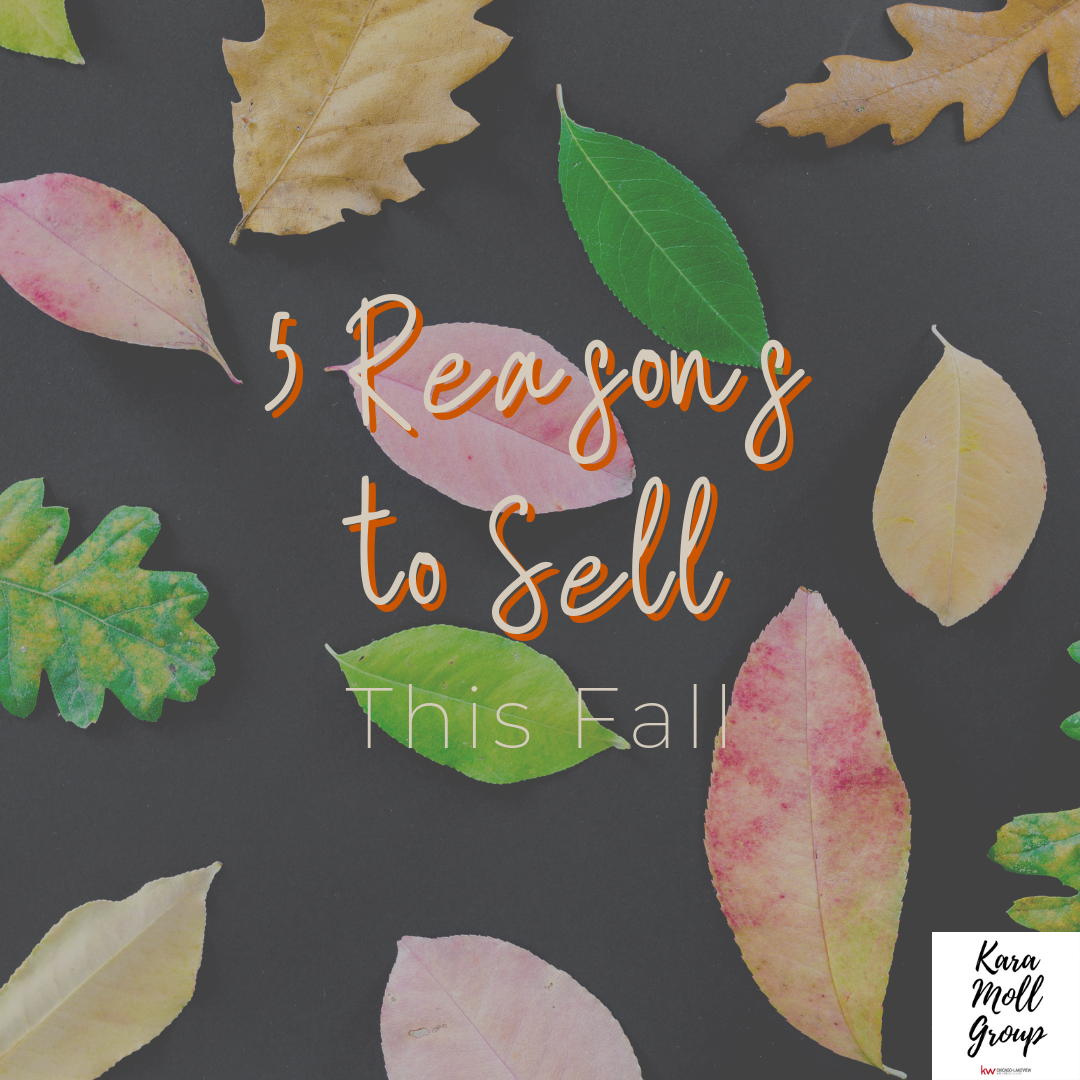 5 Reasons to Sell This Fall