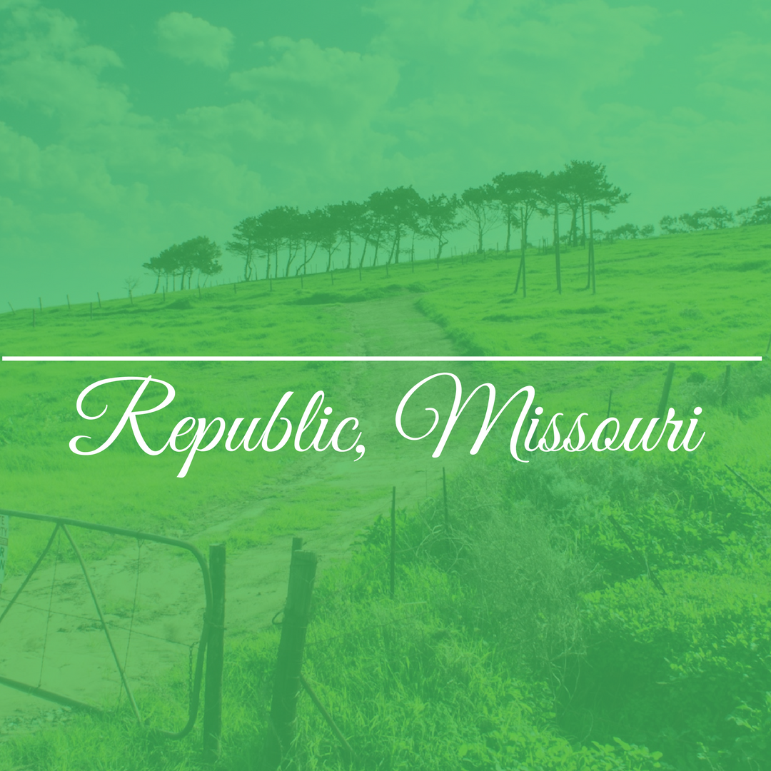 Republic, MO Profile
