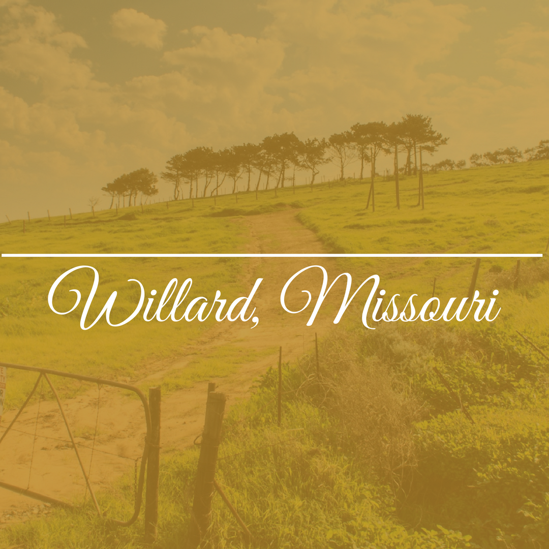 Willard, MO Profile