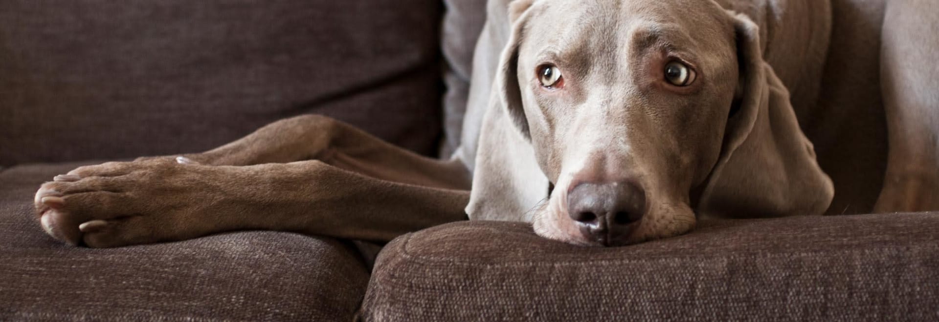 13 Ways to Reduce Indoor Air Pollution Easy habits to bust the dust