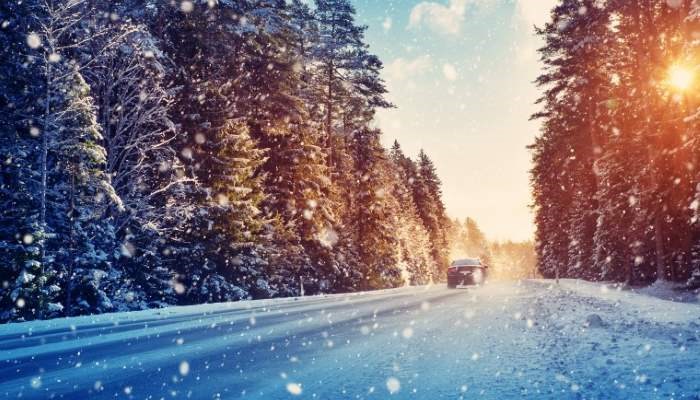 Tips to Survive Your First Winter