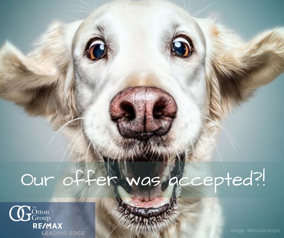 Our Strategies Work - Offer Accepted