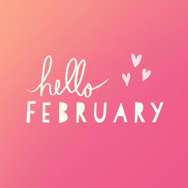February 2017 Newsletter