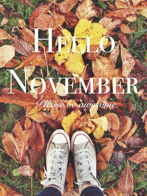 November 2017 Newsletter
