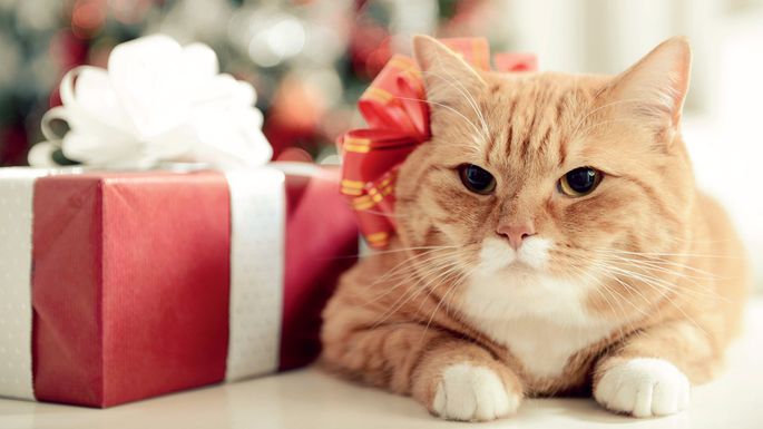 5 Holiday Splurges to Avoid If You Plan On Selling Your House In 2018