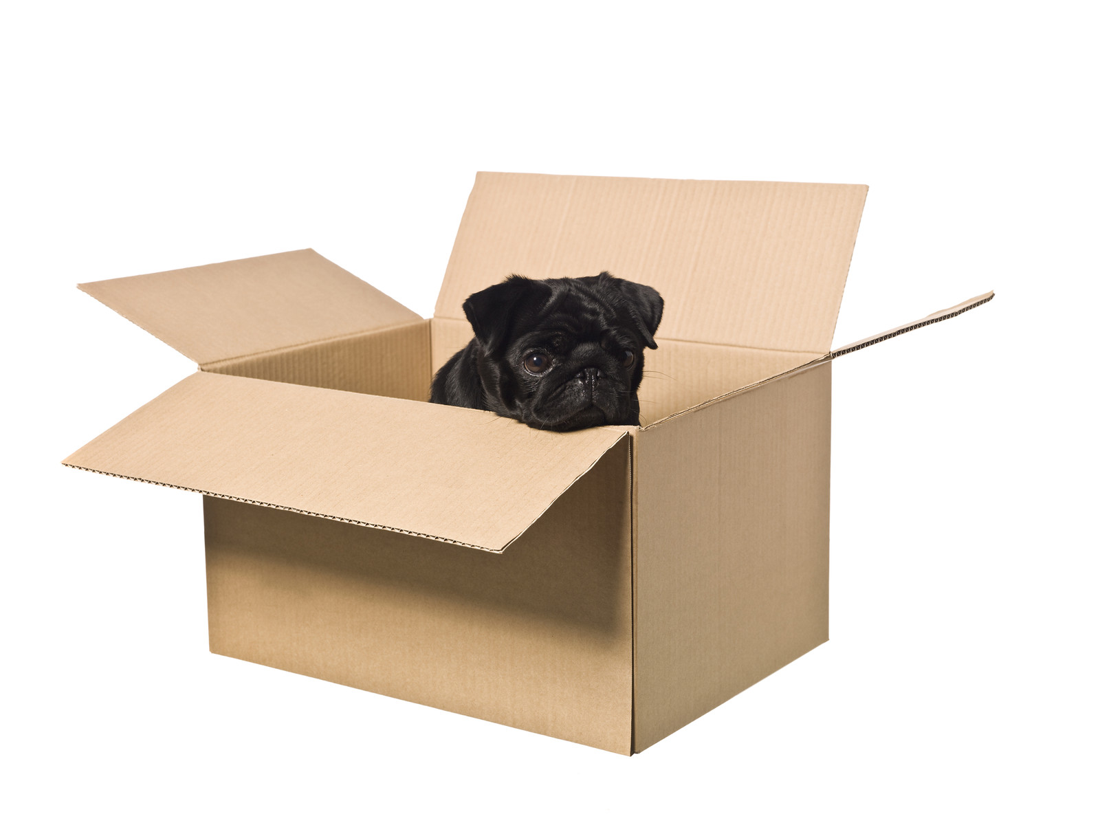 August 20, 2015 – Tips for moving day!