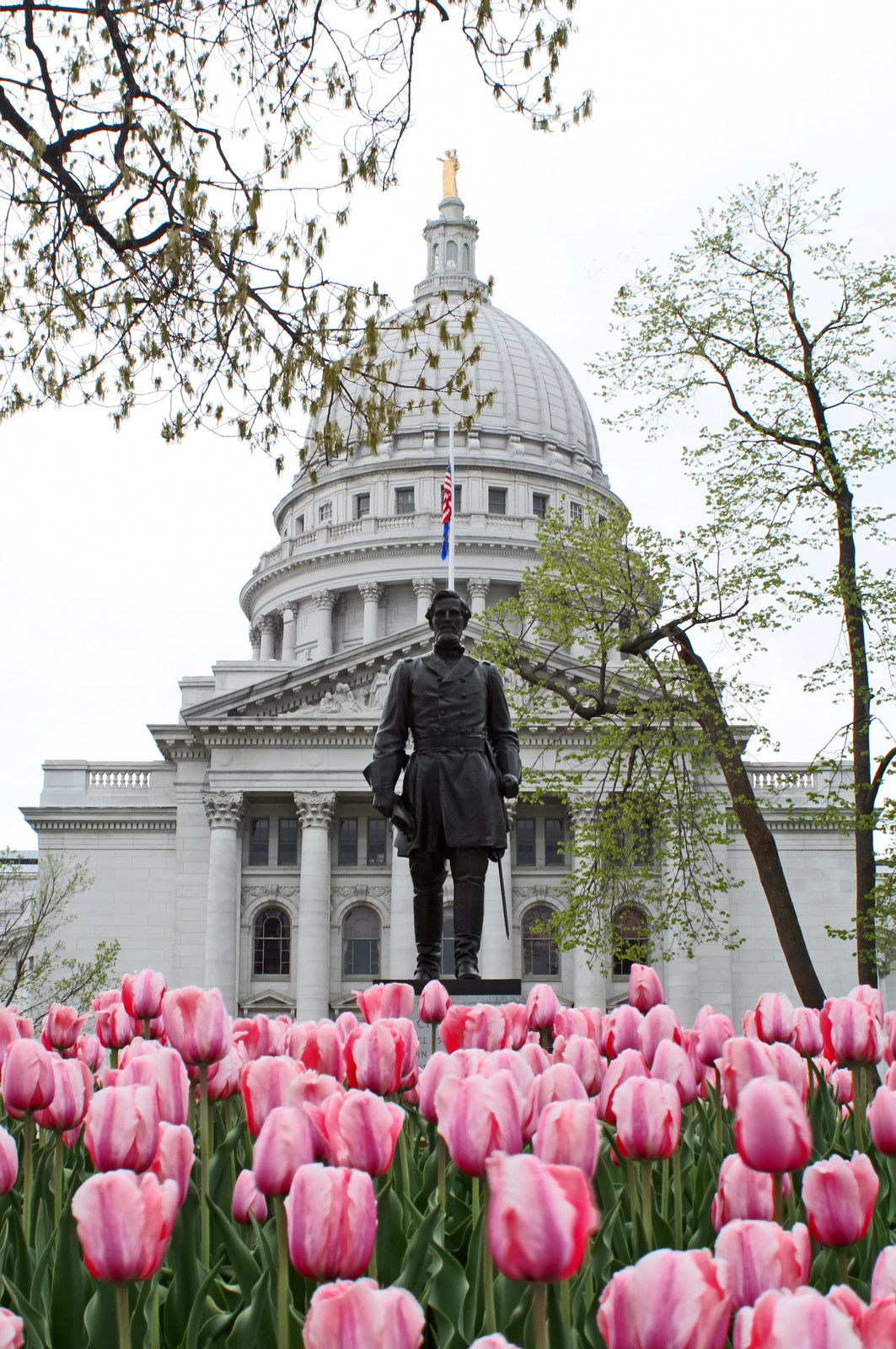 March 15, 2017 – Is it Spring yet?