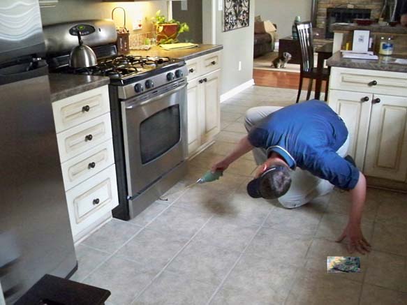 10 Questions About Pest & Termite Inspections