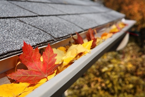5 Fall Home Improvement Tips