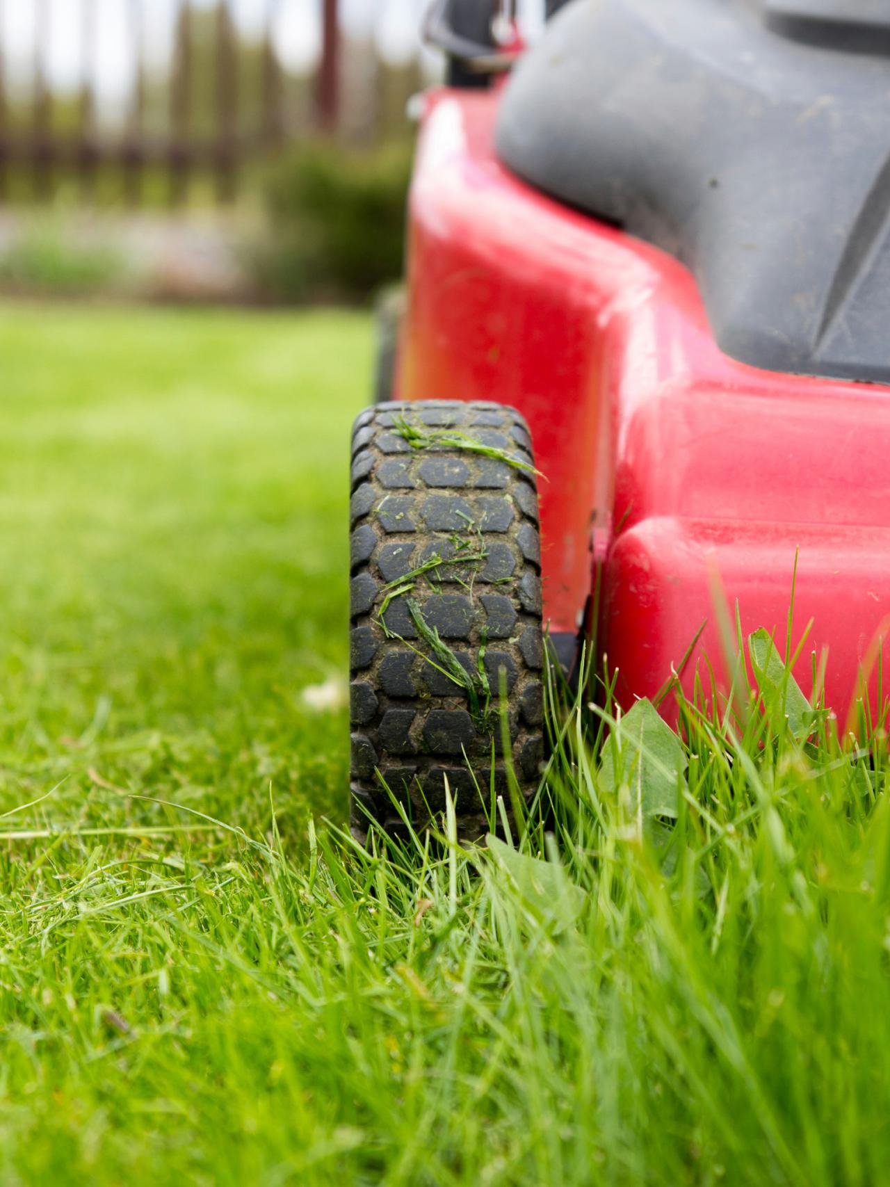 Lawn Mowing Tips for a Healthy Lawn