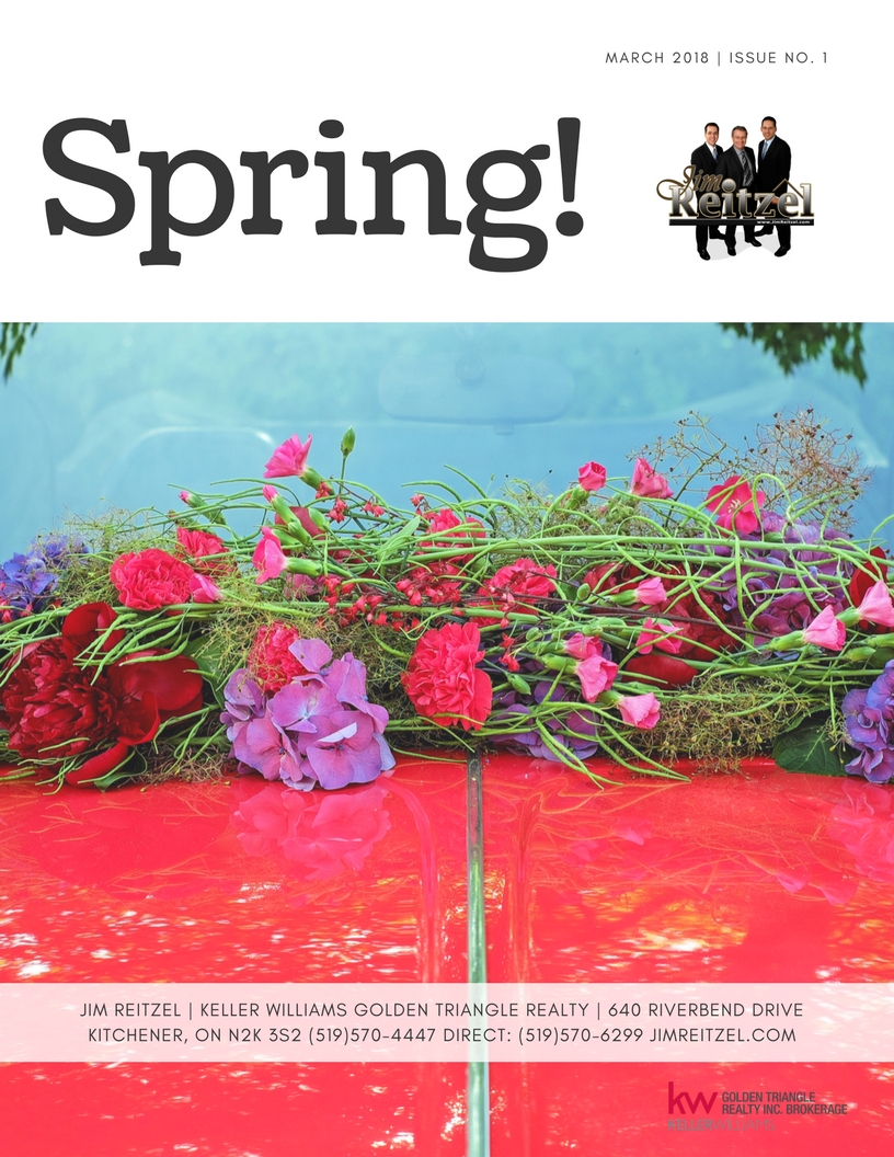 Spring Magazine