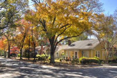 Belmont Community