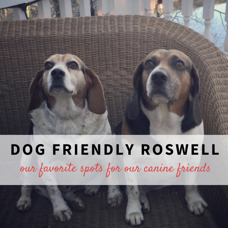 Dog Friendly Roswell