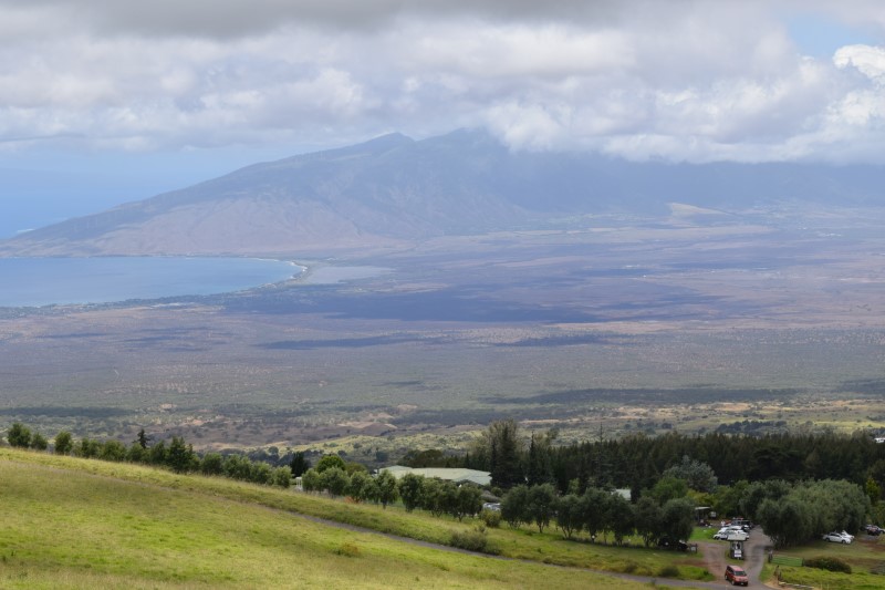 July 2019 Market Update, Maui Fire, First-Time Home Buyer’s Down Payment Assistance Program
