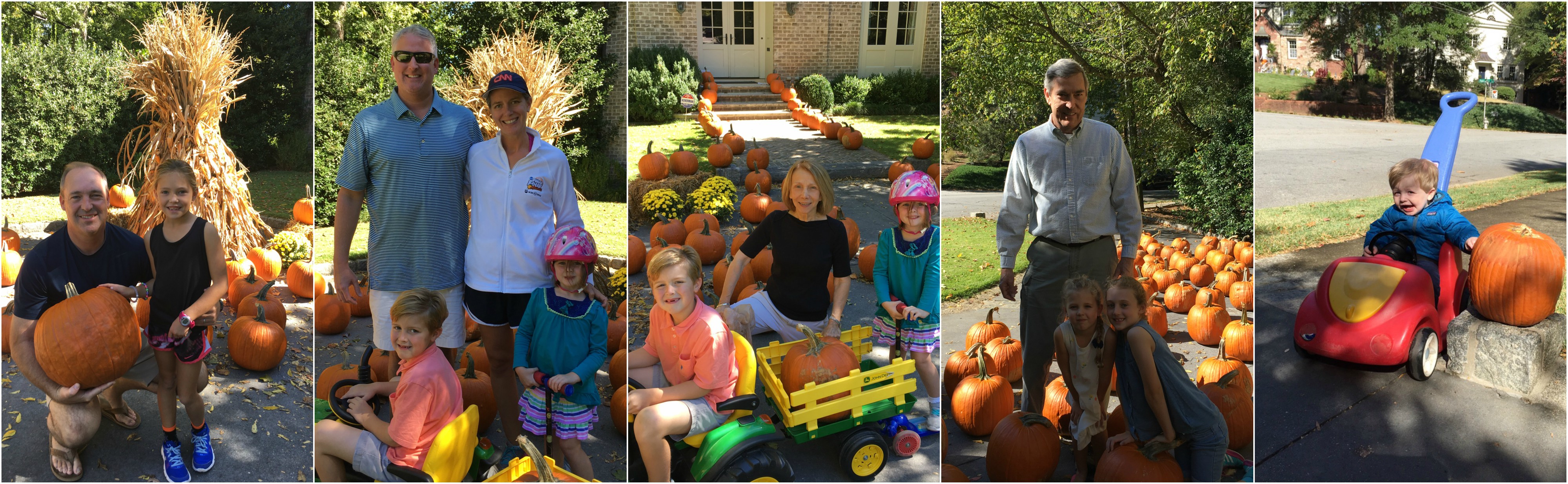 33 YEARS OF PUMPKINS !