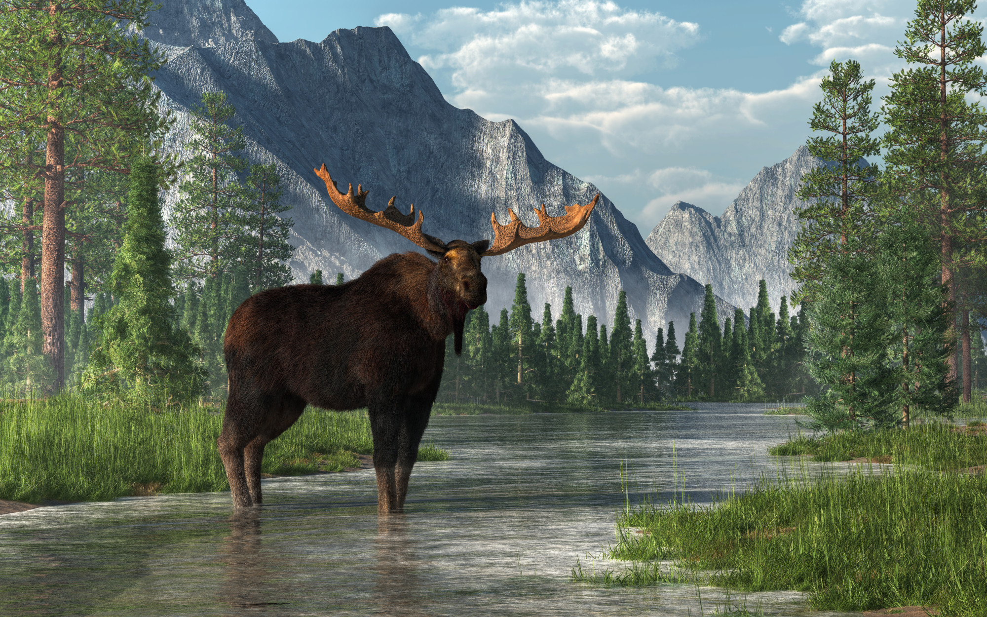A Simple Guide to Buying a House and Moving to Alaska