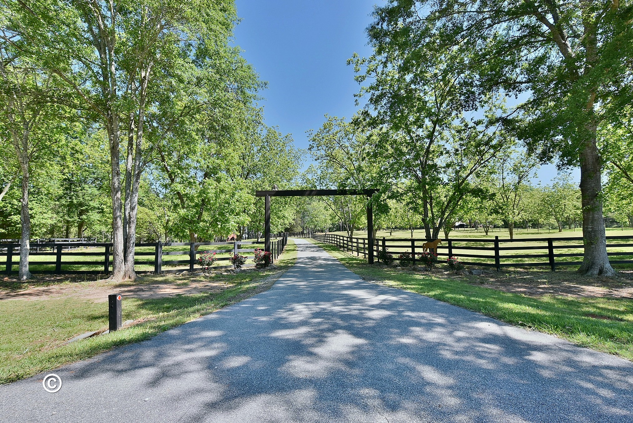 Horse Lovers Dream...60 Acres with log home in Pine Mountain, GA