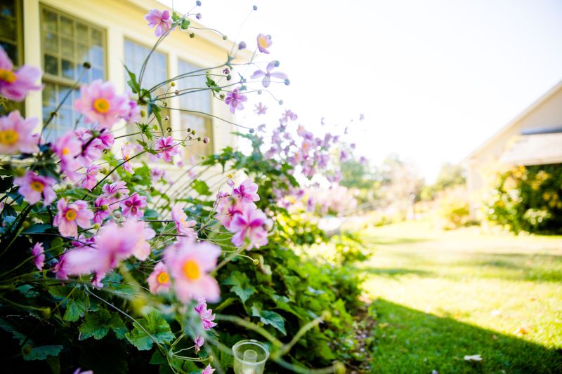 5 Ways To Perk Up Your Pure Michigan Curb Appeal For Spring Showings