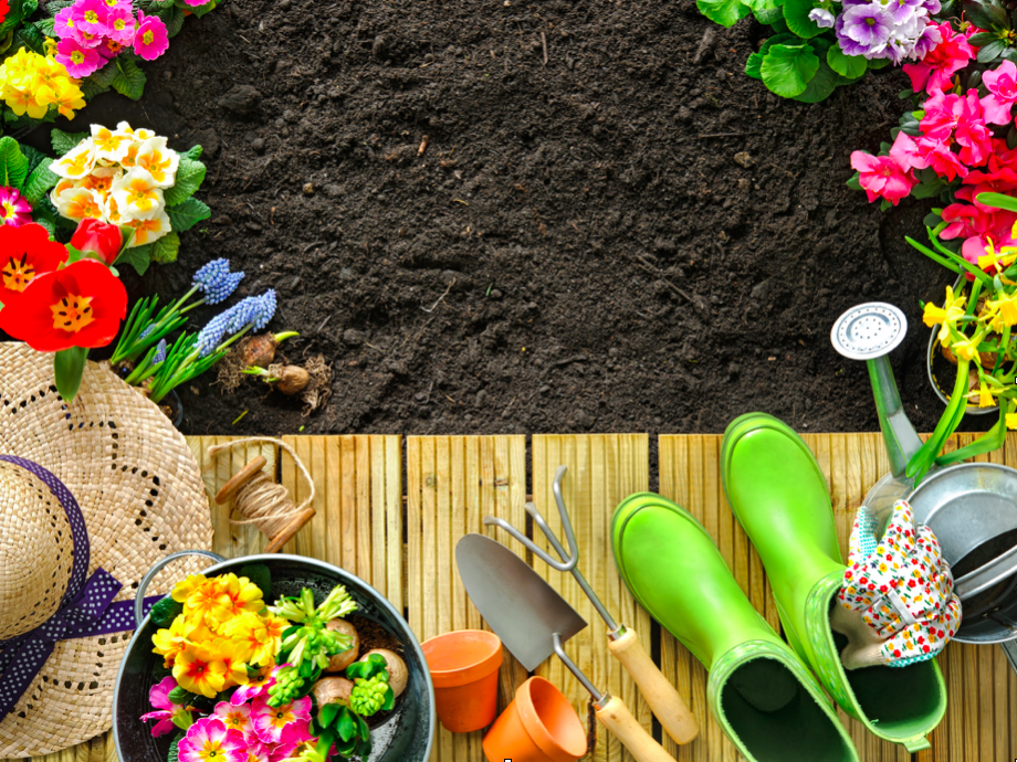 YOUR GRAND RAPIDS GUIDE TO GROWING THE PERFECT MICHIGAN GARDEN