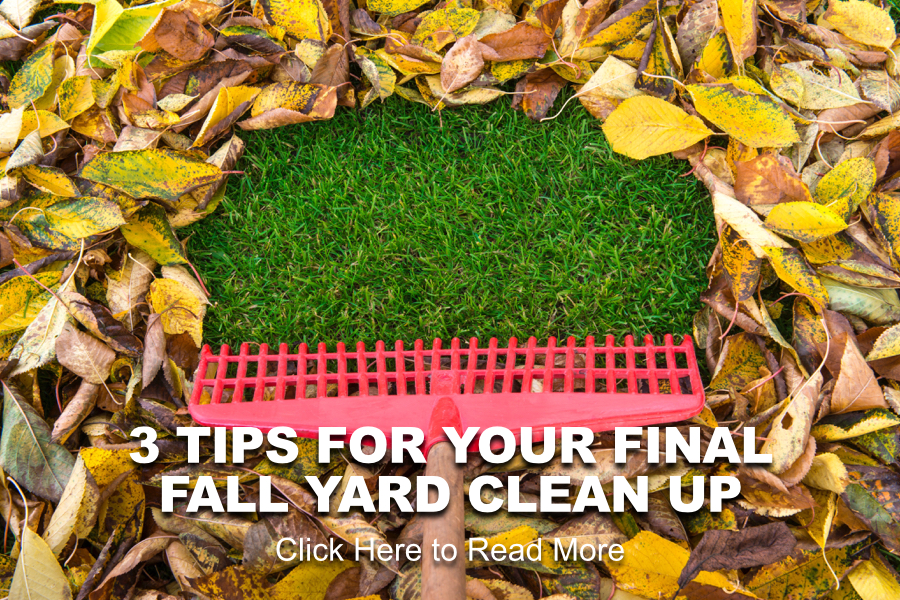 3 TIPS FOR YOUR FINAL FALL YARD CLEAN UP