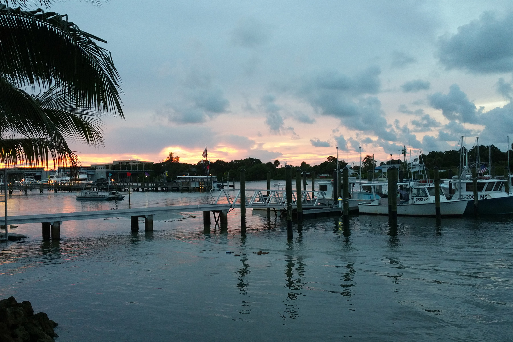About Sabal Creek | 34986
