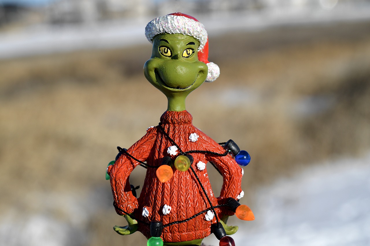 Grinch Home Buyers St. Louis