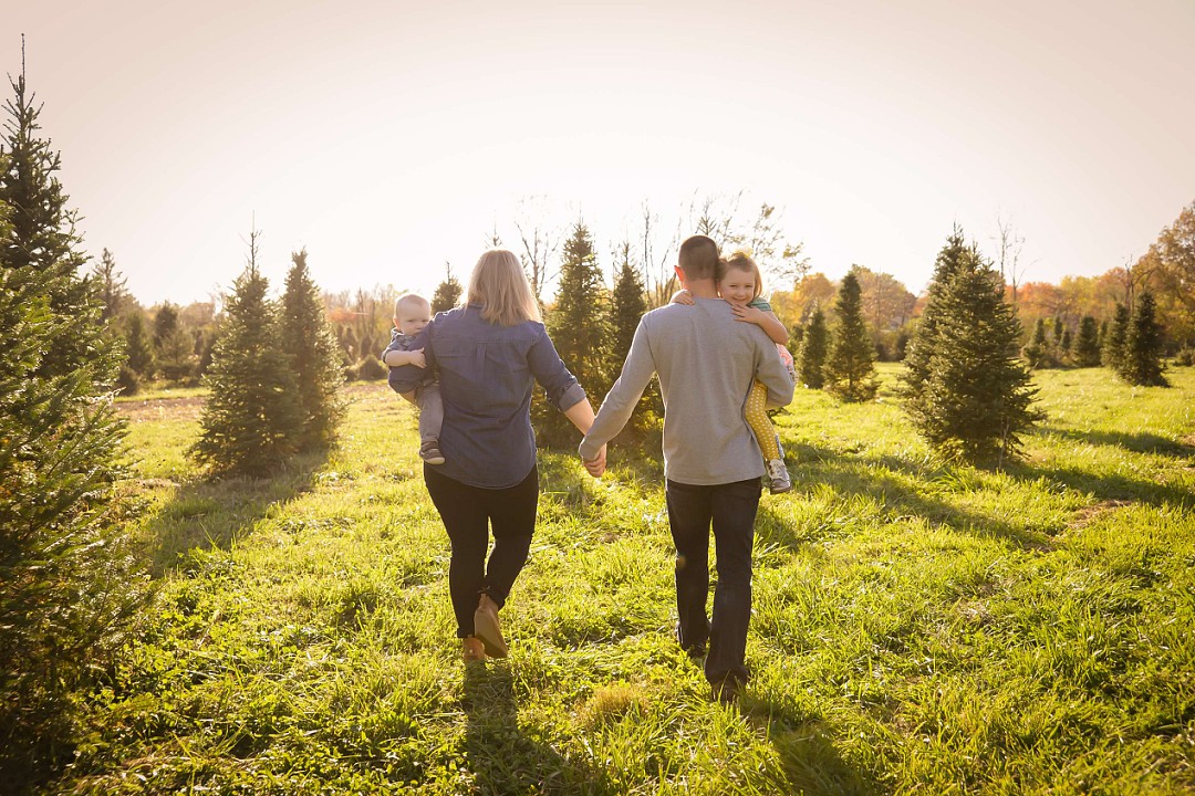 Christmas Tree Farms in Central Indiana